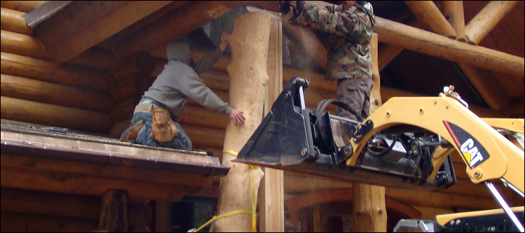 Log Home Log Replacement  Iredell County,  North Carolina