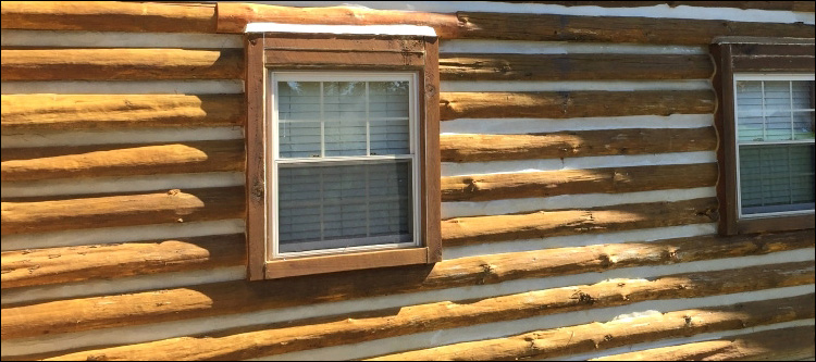 Log Home Whole Log Replacement  Statesville,  North Carolina